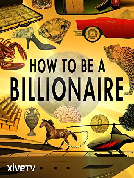 如何成为亿万富翁 How to Be a Billionaire (2014)