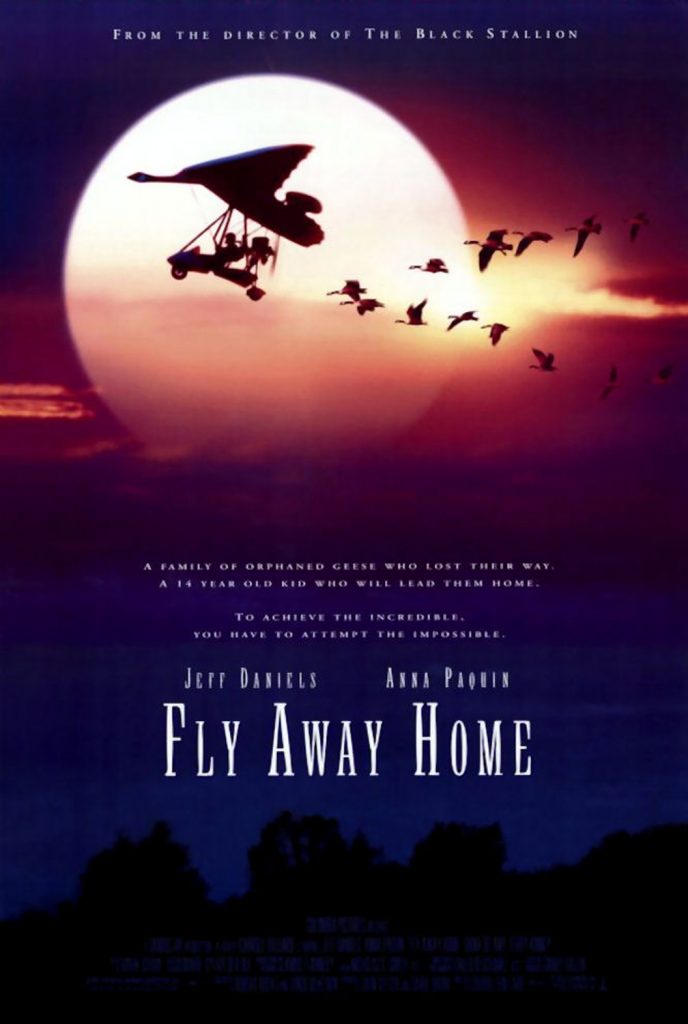 伴你高飞 Fly Away Home (1996)