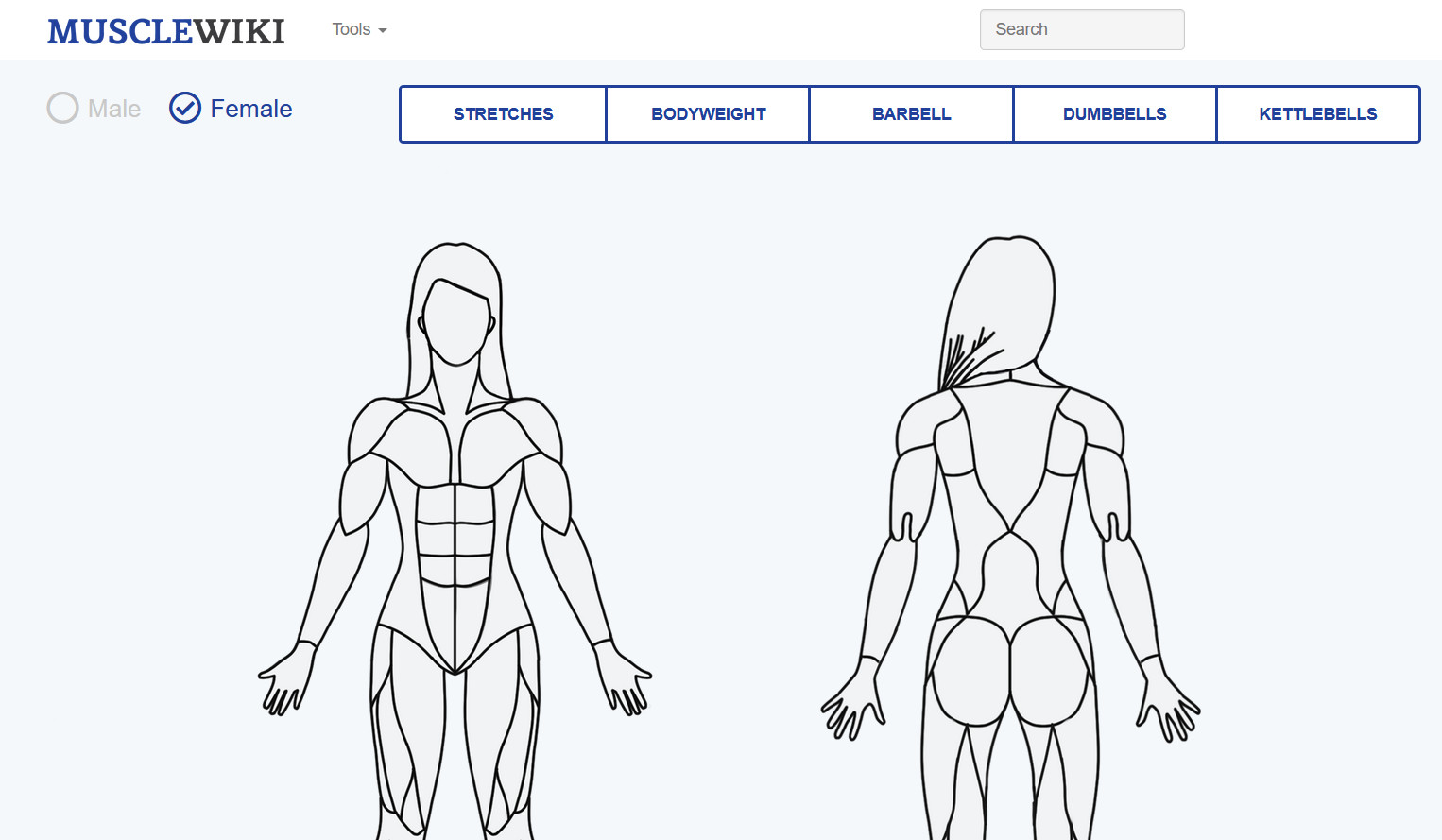 肌肉百科 musclewiki.com，健身爱好者的百科知识库
